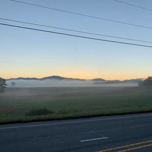 Meet your Posher, Chelsea